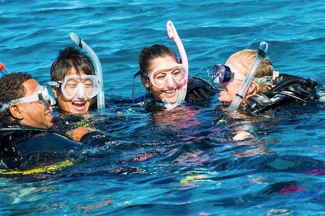 Exploration dives - Choosing your underwater plan: reefs, colorful fish, and ancient shipwrecks