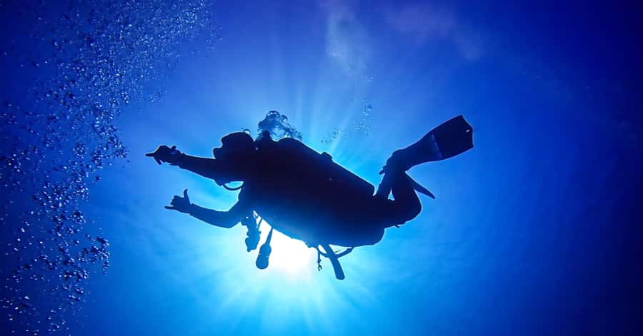 Explore Aqaba's Depths: Scuba Diving Tour, with Hotel Pickup - Key highlights you’ll feel right away