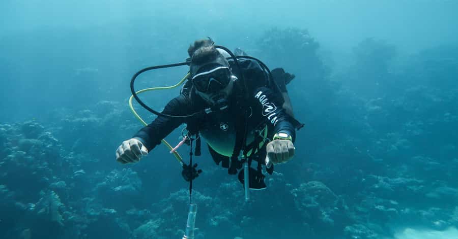 Explore Aqaba's Depths: Scuba Diving Tour, with Hotel Pickup - First You Ride, Then You Set Up at South Beach
