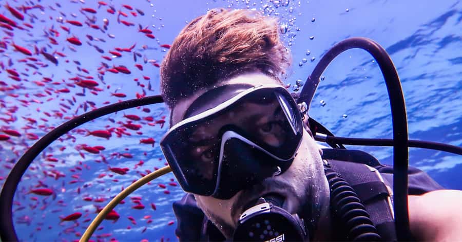 Explore Aqaba's Depths: Scuba Diving Tour, with Hotel Pickup - Underwater Highlights: Reefs Plus Two Wreck Targets
