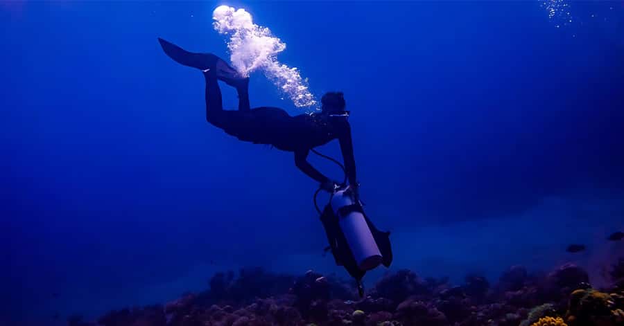 Explore Aqaba's Depths: Scuba Diving Tour, with Hotel Pickup - South Beach Safety Briefing: Clear Rules, Calm Energy