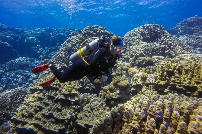Explore Hurghada Two Thrilling Boat Dives for Certified Divers - Morning Pickup in Hurghada: Getting Set Up Fast