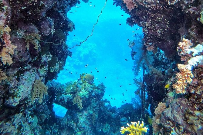 Explore Hurghada Two Thrilling Boat Dives for Certified Divers - Second Underwater Session at 13:00: The Same Reef, New Perspective