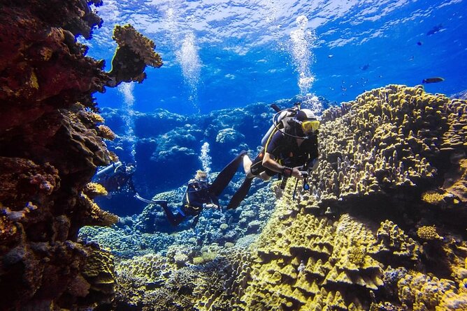 Explore Hurghada Two Thrilling Boat Dives for Certified Divers - Midday Lunch at 12:00: Fuel Up Without Losing the Day