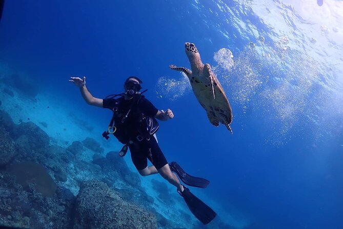 Explore Scuba Diving at Racha Yai Island from Phuket - Key highlights you can bank on
