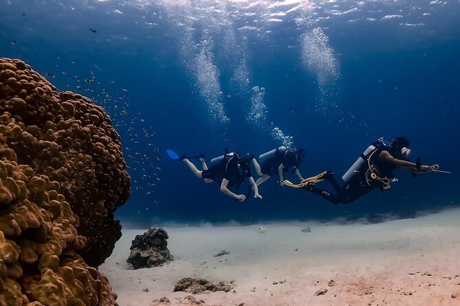Explore Scuba Diving at Racha Yai Island from Phuket - PADI Discover Scuba Diver: What the training actually covers