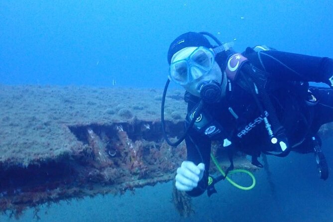 Explore World's Largest Plane Wreck by Scuba Diving in Kusadasi - Marine Life Highlights: A Plane That Became a Reef