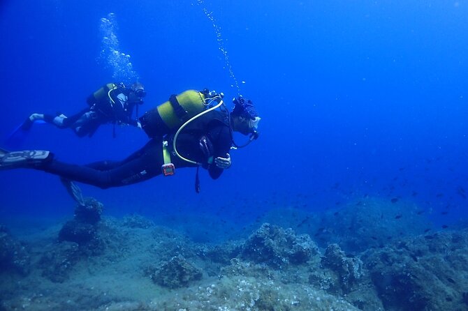 Explore World's Largest Plane Wreck by Scuba Diving in Kusadasi - Crew, Safety, and the Big Clean Boat Factor