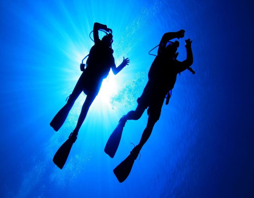 Fethiye: 2 Guided Scuba Dives with Lunch and Hotel Transfers - Smooth Hotel Pickup Across Fethiye (No Taxi Stress)