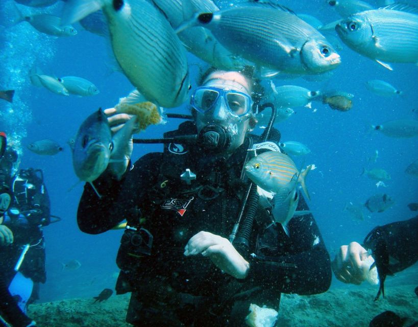 Fethiye: 2 Guided Scuba Dives with Lunch and Hotel Transfers - Cost and Extras: The Part That Can Surprise You