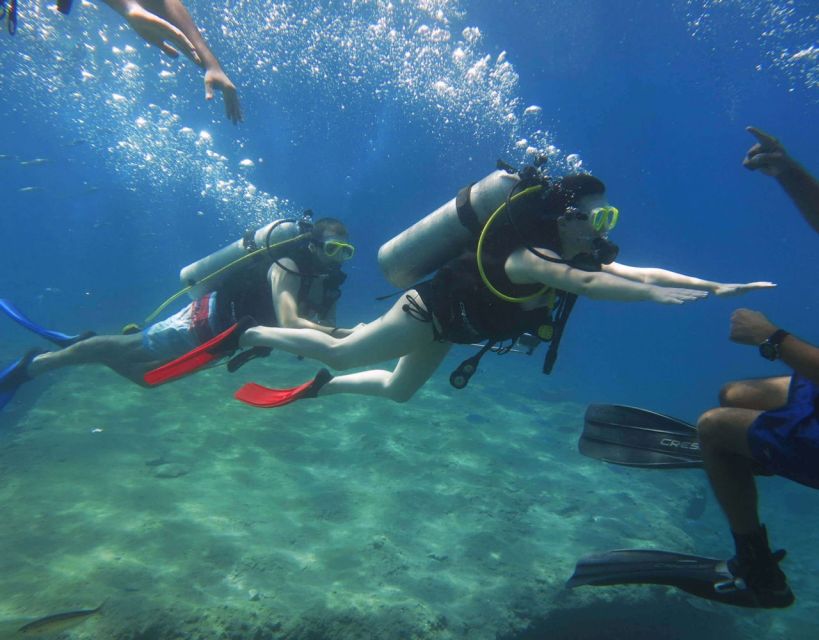 Fethiye: 2 Guided Scuba Dives with Lunch and Hotel Transfers - What to Bring (and What to Leave at Home)