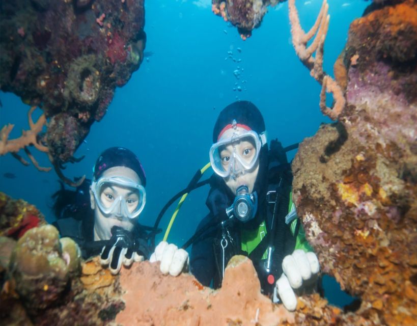 Fethiye: 2 Guided Scuba Dives with Lunch and Hotel Transfers - A 22-Meter Boat That Keeps the Day Moving