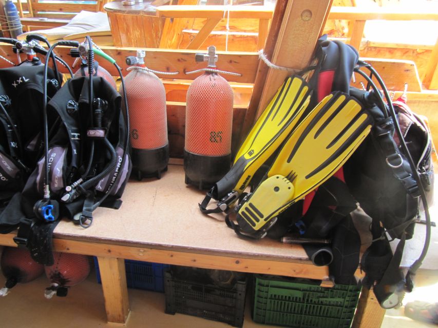 Fethiye: Professional Scuba Diving with Lunch - Key highlights you’ll actually care about
