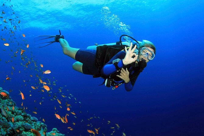 Fethiye Scuba Diving Experience By A Local Expert - Key Highlights You’ll Care About
