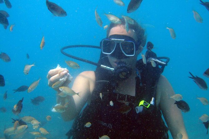 Fethiye Scuba Diving Experience By A Local Expert - Price and Value: What $100 Really Buys You
