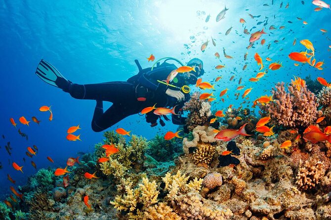 Fethiye Scuba Diving Experience By A Local Expert - Where You’ll Start and How Pickup Works