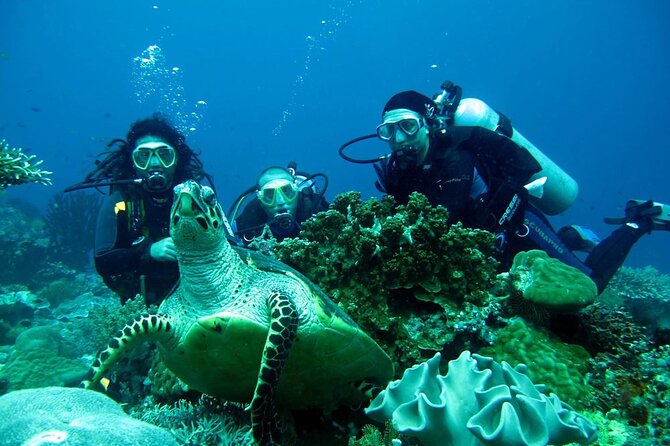 Fethiye Scuba Diving Experience By A Local Expert - What a Typical 7-Hour Scuba Day Feels Like