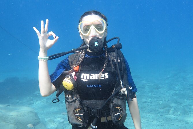 Fethiye Scuba Diving Trip with Mermaid Diving INCL Lunch-Transfer - Key Points You’ll Care About
