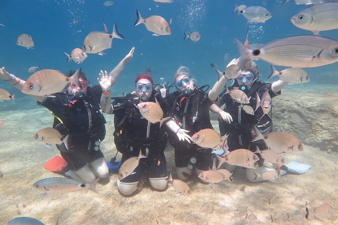 Fethiye Scuba Diving Trip with Mermaid Diving INCL Lunch-Transfer - How the Dalyan Bay and Tarzan Bay Day Flows