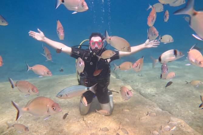 Fethiye Scuba Diving Trip with Mermaid Diving INCL Lunch-Transfer - Equipment, Gear Cleanliness, and What You Need to Bring