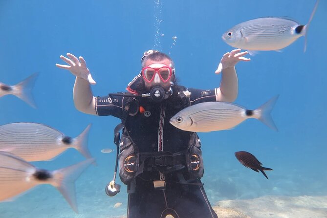 Fethiye Scuba Diving Trip with Mermaid Diving INCL Lunch-Transfer - Price and Value: What $62.47 Really Covers