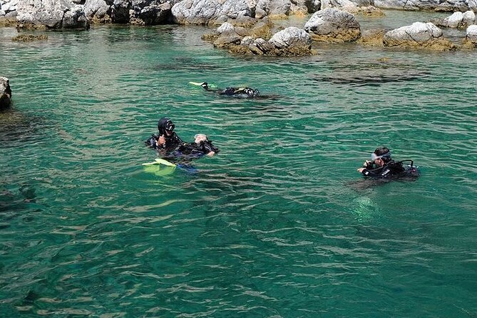 Fethiye Scuba Diving with Transfer, 2 Dives and Lunch - Lunch on the boat and the practical add-ons to think about