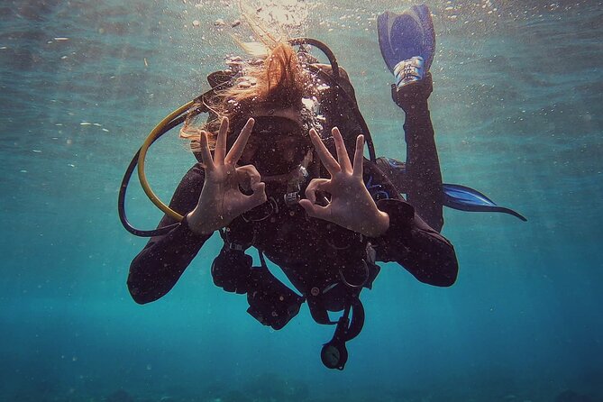 First Dive Experience in Tenerife - Key highlights you’ll feel on the day