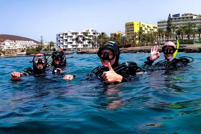 First Dive Experience in Tenerife - What you’ll likely see in Stingray Bay: rays, turtles, and volcanic reef fish life