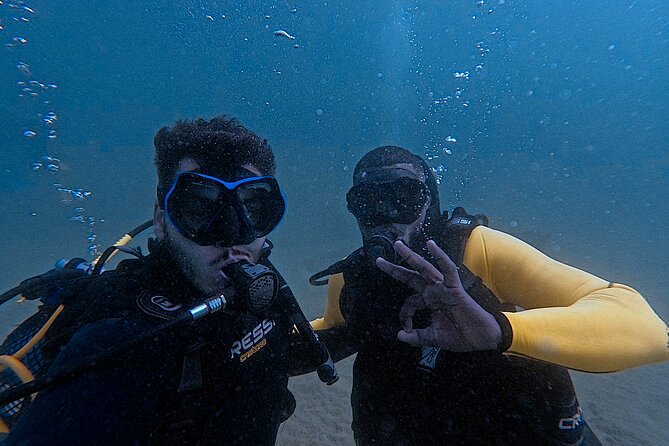 First Diving Experience Try Dive - Reef visit and marine life: what to expect under the water