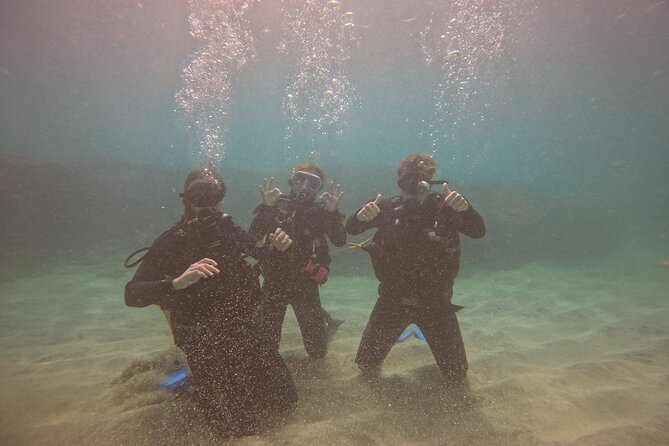 First Diving Experience Try Dive - Equipment is handled, but you’ll still want to prep