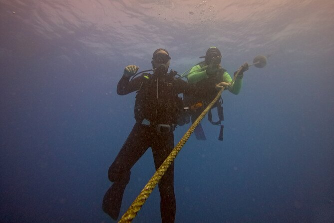 First Diving Experience Try Dive - Should you book this experience on Sal?