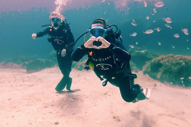 First scuba diving experience with instructor - Malta - Entering Malta’s Underwater World From St. Paul’s Bay