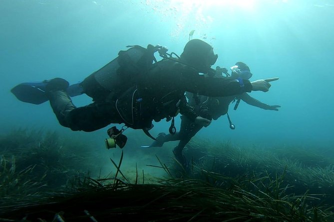 First scuba diving experience with instructor - Malta - What You Learn Underwater (So You’re Not Guessing)