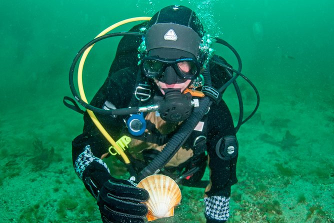 First Time Diver Scuba Experience - Key Highlights You’ll Care About