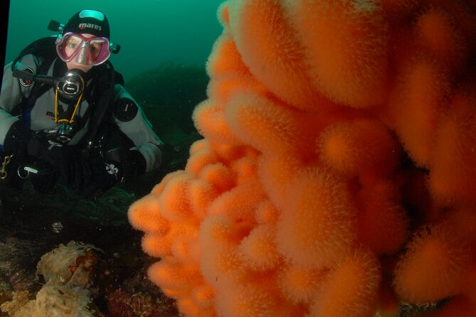 First Time Diver Scuba Experience - Where You’ll Meet and What to Bring