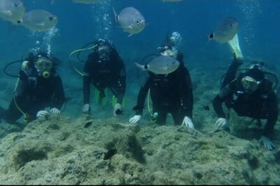 First Time Scuba Dive Adventure, Makronissos, Ayia Napa - Gear, suit, and the shallow-water practice that builds confidence