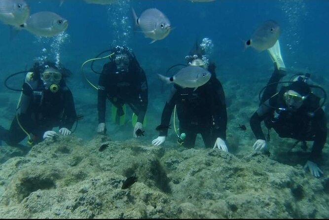 First Time Scuba Dive Adventure, Makronissos, Ayia Napa - Gear, suit, and the shallow-water practice that builds confidence