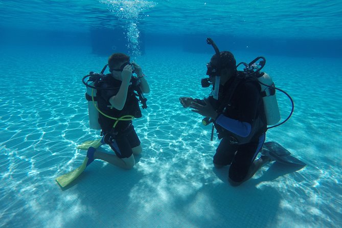 First Time Scuba Diving Experience in Punta Cana - Your First Guided Reef Session: What You’ll See and How You’ll Feel