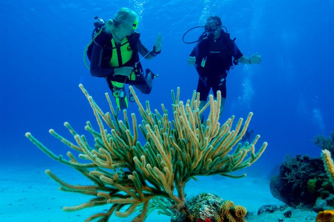 First Time Scuba Diving Experience in Punta Cana - Price and Value: What $199 Covers (and What Costs Extra)