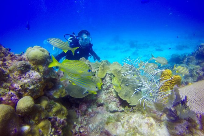 First Time Scuba Diving Experience in Punta Cana - Flight Timing Rule: The 18-Hour Buffer You Can’t Ignore