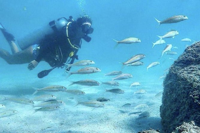 First-Time Scuba Diving in Honolulu + Free Videos - Magic Island Lagoon Start: Getting Ready Without Stress