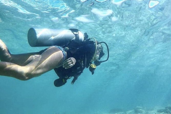 First-Time Scuba Diving in Honolulu + Free Videos - What You’ll See Off Oahu: Sea Stars, Octopuses, and More