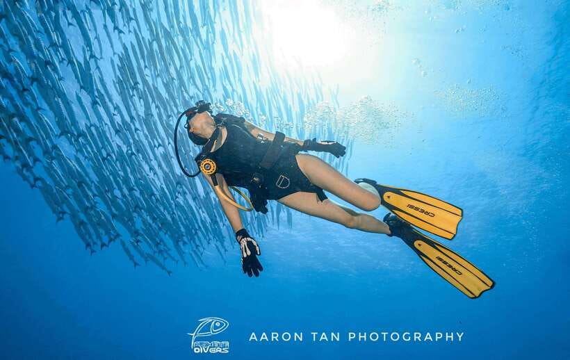 Fisheye Divers: Discover Scuba Diving - Boracay Reef Time in a Tight 3-Hour Window
