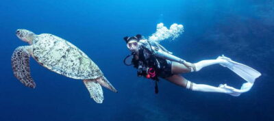 Fisheye Divers: Discover Scuba Diving - Pickup From Station 1–3, Plus a Bit of Sightseeing