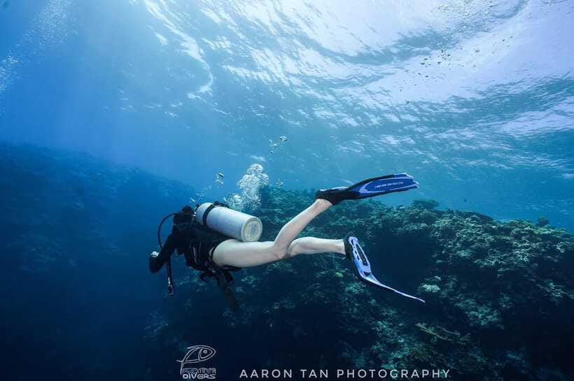 Fisheye Divers: Discover Scuba Diving - The Boat Ride to the Coral Garden and Your 45-Minute Underwater Session