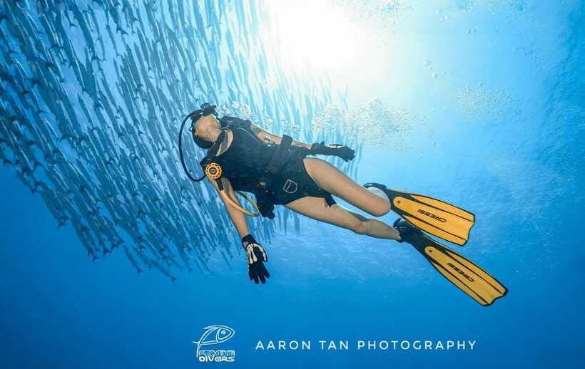 Fisheye Divers: Discover Scuba Diving - Price and Value: Is $126 Worth It?