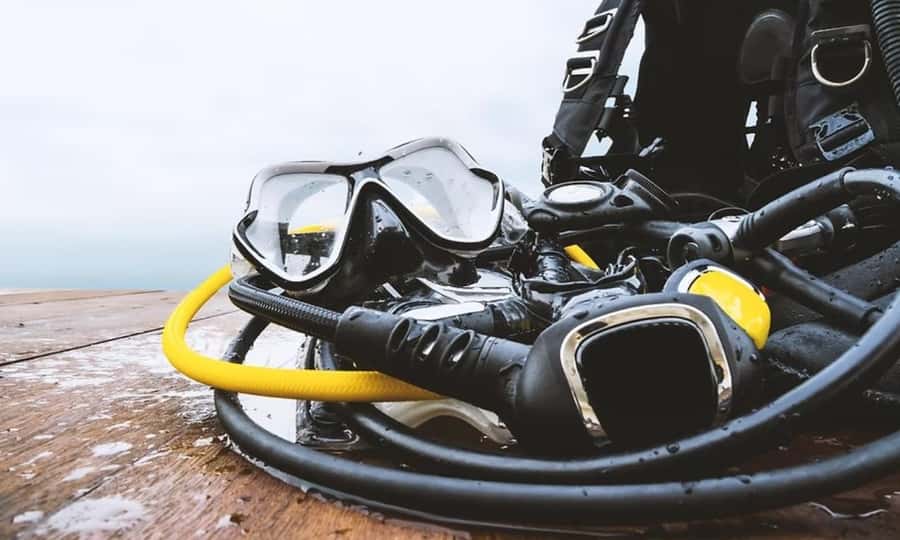 Florida Keys: Scuba Diving & Snorkeling Reef Trip - Key Highlights That Make This Trip Worth It