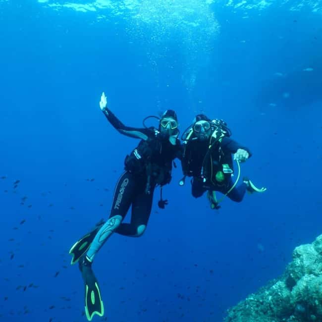 Fréjus: Diving Experience in Port-Fréjus with an Instructor - Underwater on the Estérel Coast: Marine Life You Can Actually See