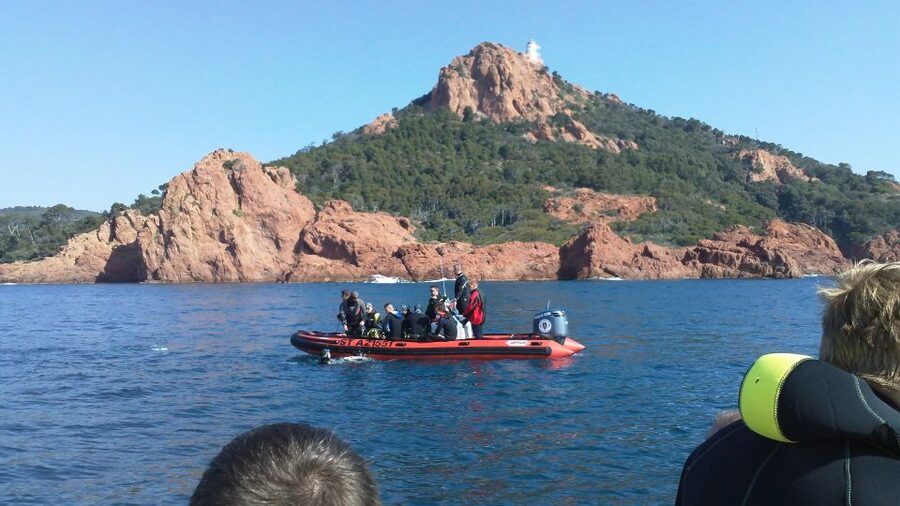 Fréjus: Diving Experience in Port-Fréjus with an Instructor - Snorkeling Included: A Good Backup (and a Bonus)