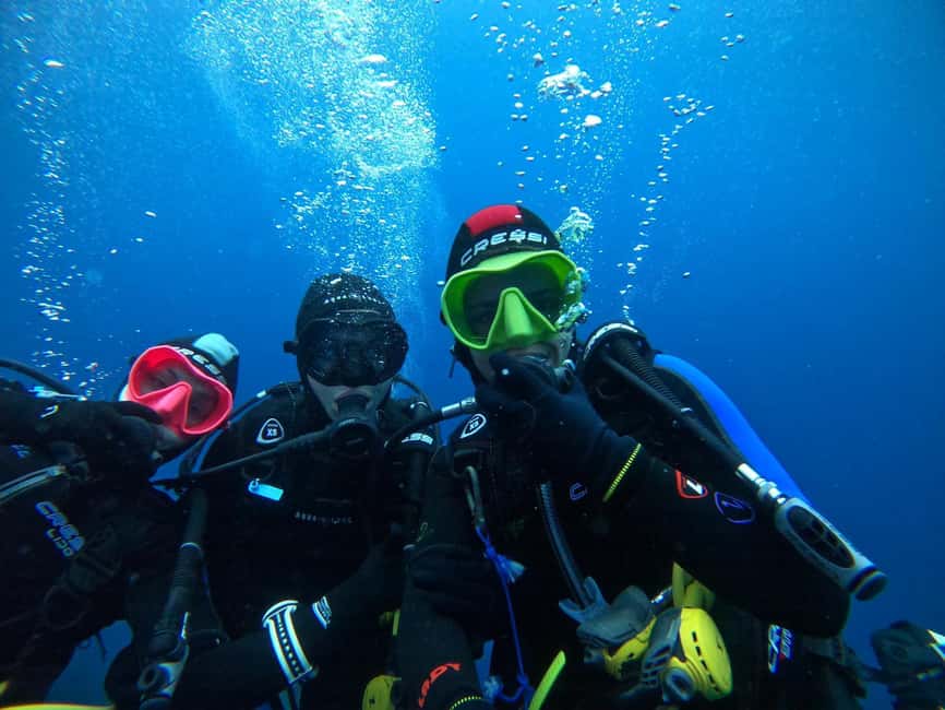 Fréjus: Diving Experience in Port-Fréjus with an Instructor - Price and Value: Is $88 Worth It?